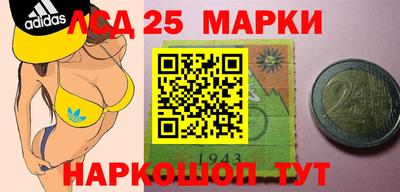 индика Обнинск