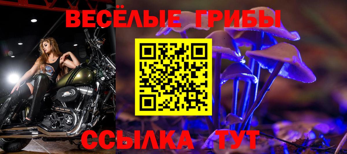 Галлюциногенные грибы мухоморы Киров